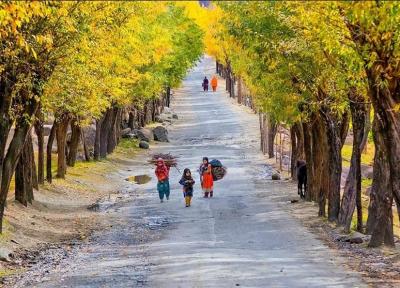 عمران خان دستور توسعه فرودگاه های شهرهای سیاحتی را ابلاغ کرد