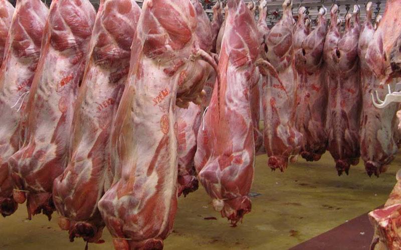 عرضه 20 هزار تن گوشت قرمز و مرغ منجمد به زودی در کشور
