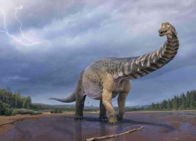 گونه تازه کشف شده در استرالیا می تواند عظیم ترین دایناسور زمین باشد