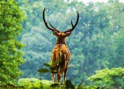 10 جاذبه طبیعت گردی در تور هندوستان (تور بمبئی)