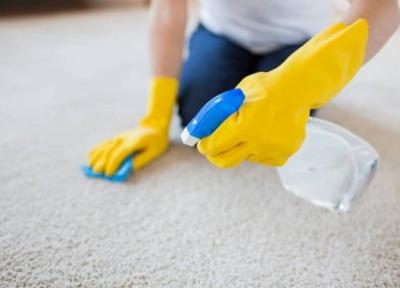 برترین روش ها برای برای تمیز کردن فرش ماشینی بدون شست وشو